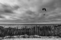 2019_09_11_Bretagne (0104)